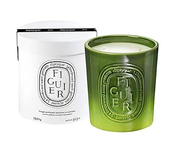 Amazon.com: Diptyque Figuier Indoor/Outdoor Ceramic Candle